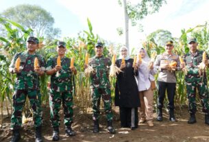 Rilis Berita : Kunjungan Pangdam IM Mayjen TNI Novi Helmi ke Lahan Ketahanan Pangan Food Estate Korem 012/TU