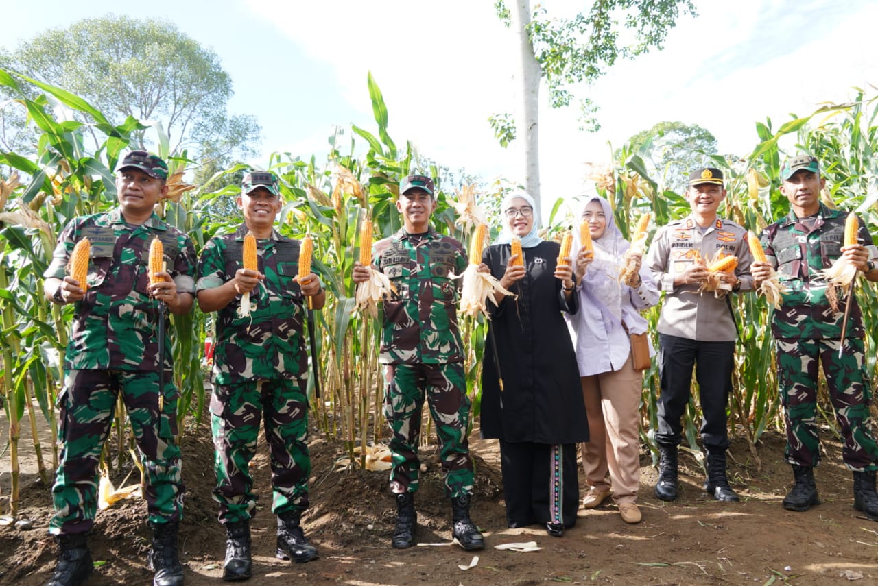 Rilis Berita : Kunjungan Pangdam IM Mayjen TNI Novi Helmi ke Lahan Ketahanan Pangan Food Estate Korem 012/TU