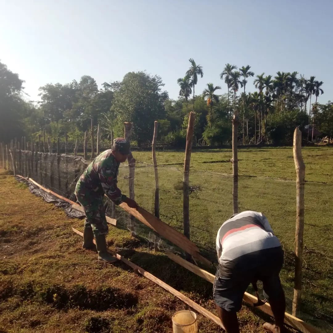 Babinsa Posramil 05/PC Bantu Warga Buat Pagar Kebun Yang Akan Ditanami Kacang Tanah