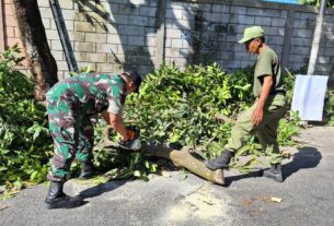 Antisipasi Pohon Tumbang Babinsa Kemlayan, DLH, Limas & Warga Gotong-royong Pangkas Pohon