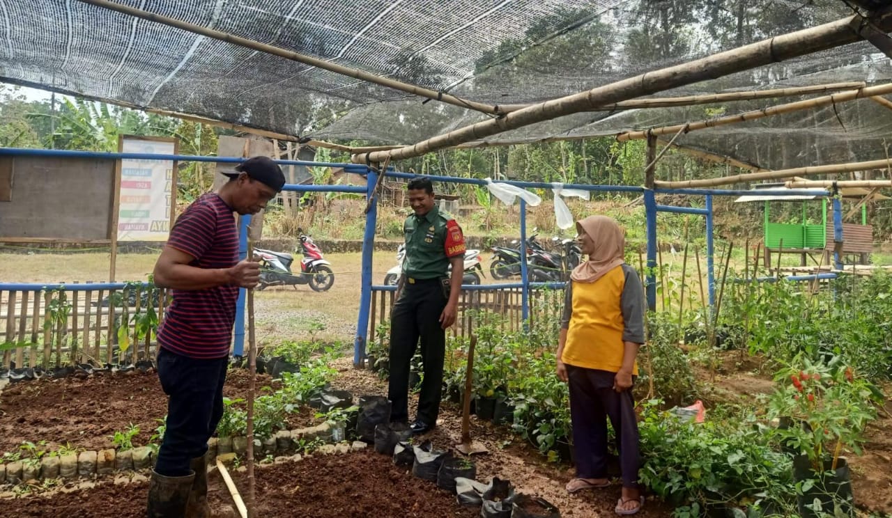 Babinsa Laksanakan Pendampingan Ibu PKK