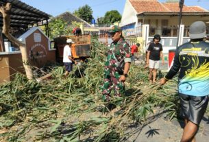 Babinsa Pajang Bersama Warga Bahu-membahu Bersihkan Rumpun Bambu