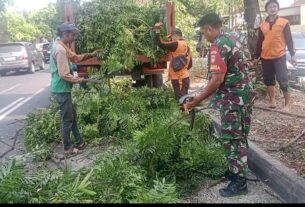 Gandeng Petugas DLH, Babinsa Kelurahan Penumping Laksanakan Pembersihan Lingkungan Dan Pemotongan Pohon
