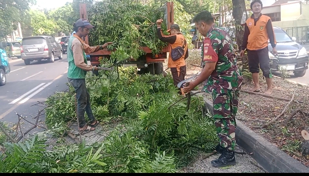 Gandeng Petugas DLH, Babinsa Kelurahan Penumping Laksanakan Pembersihan Lingkungan Dan Pemotongan Pohon