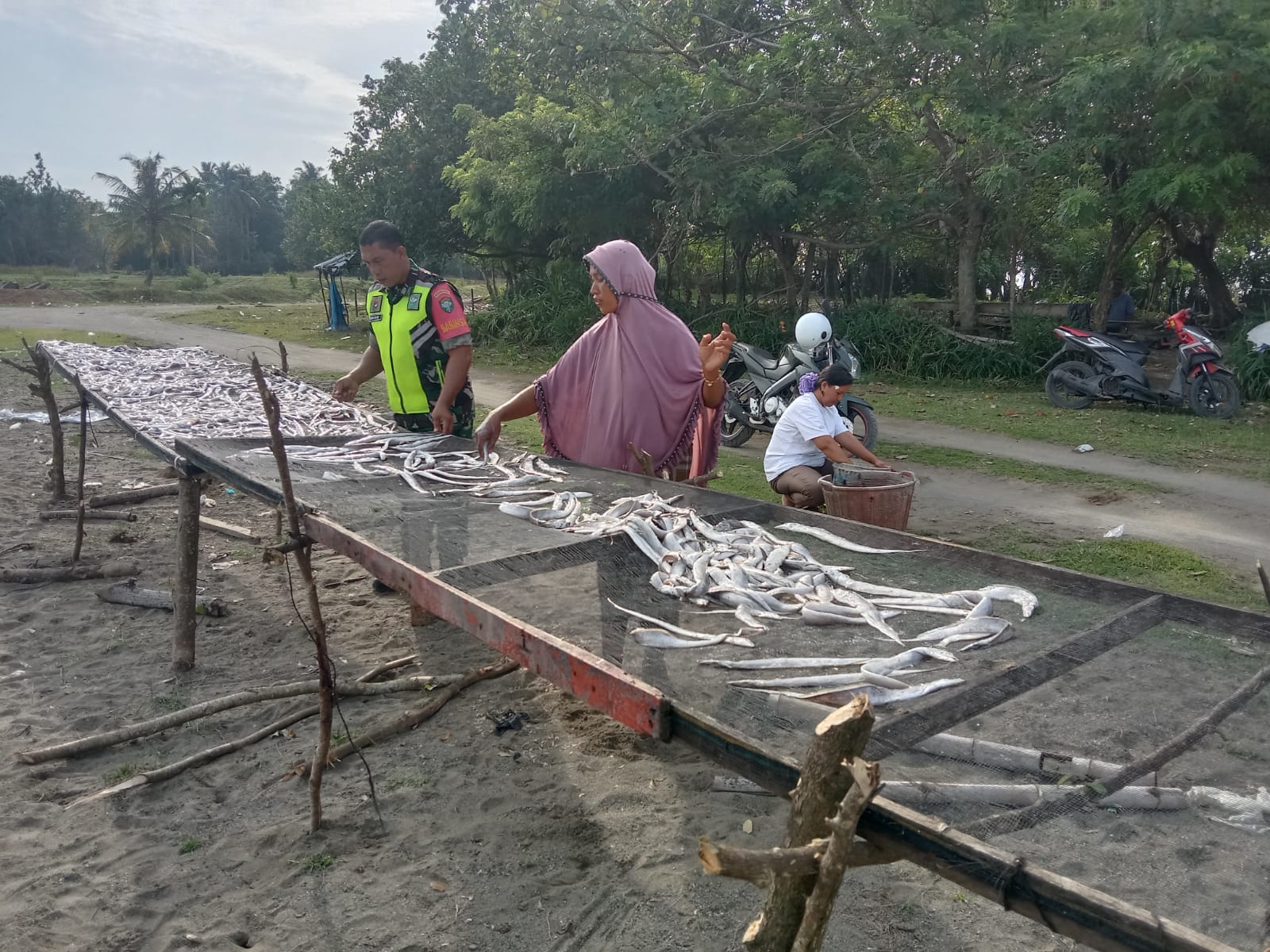 Genjot Perekonomian Nelayan, Babinsa Koramil 07/Johan Pahlawan Bantu Warga Jemur Ikan Asin