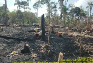 Kebakaran hutan masyarakat berhasil dipadamkan