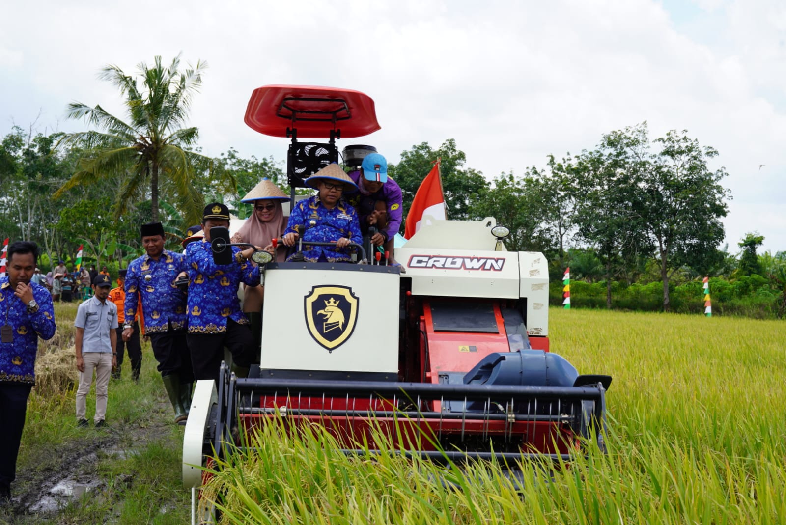 Mesuji Alami Surplus Beras jelang El Nino