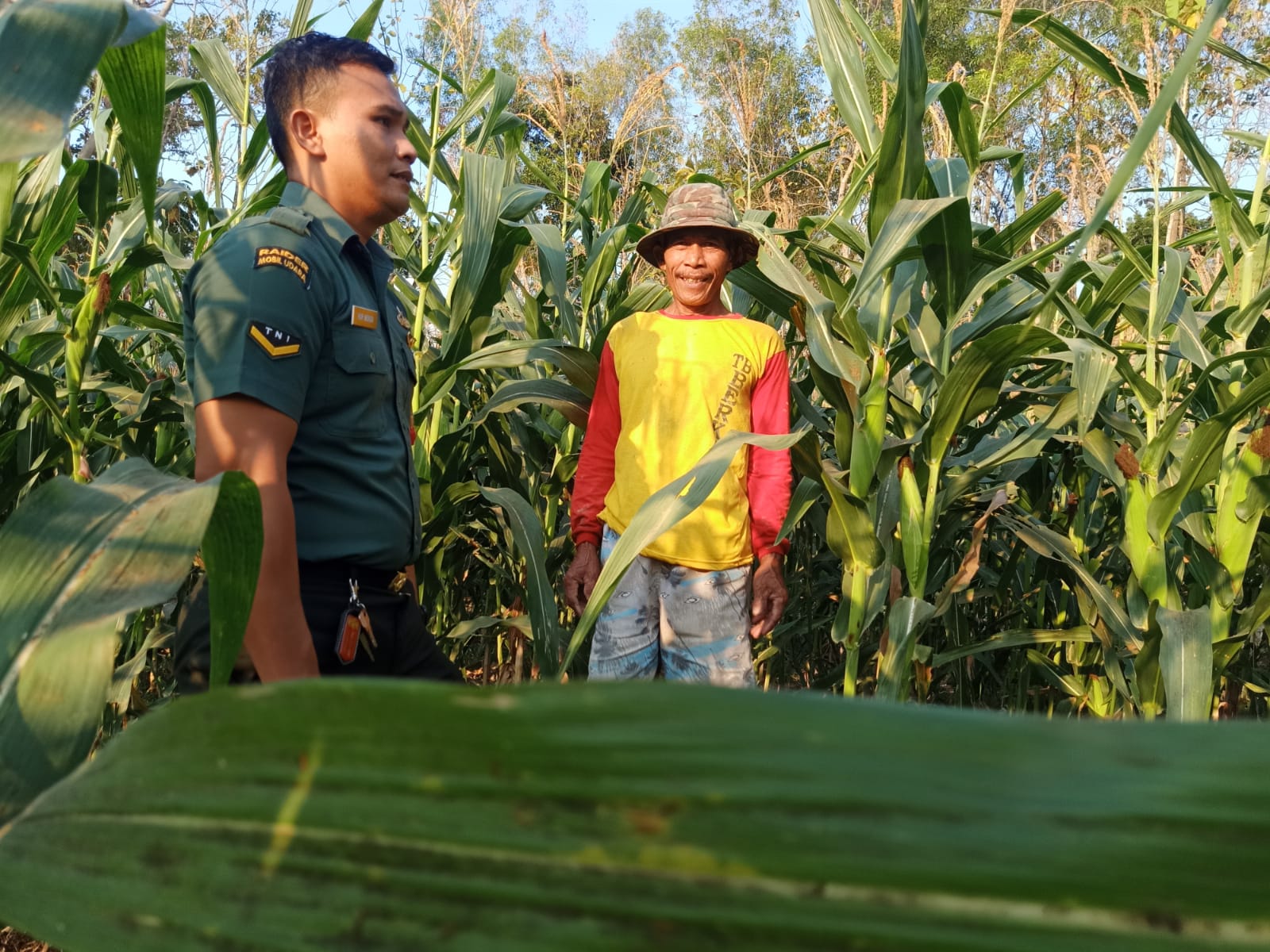 Panen Jagung, Petani Ngobrol dengan Babinsa Berharap Harga Tidak Anjlok