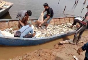 Puluhan Ton Ikan di Kramba Apung Wayrarem mati