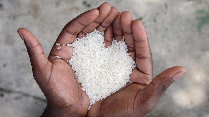 Waw Harga beras di Lampura Capai Rp. 15 Ribu Rupiah Per Kilo