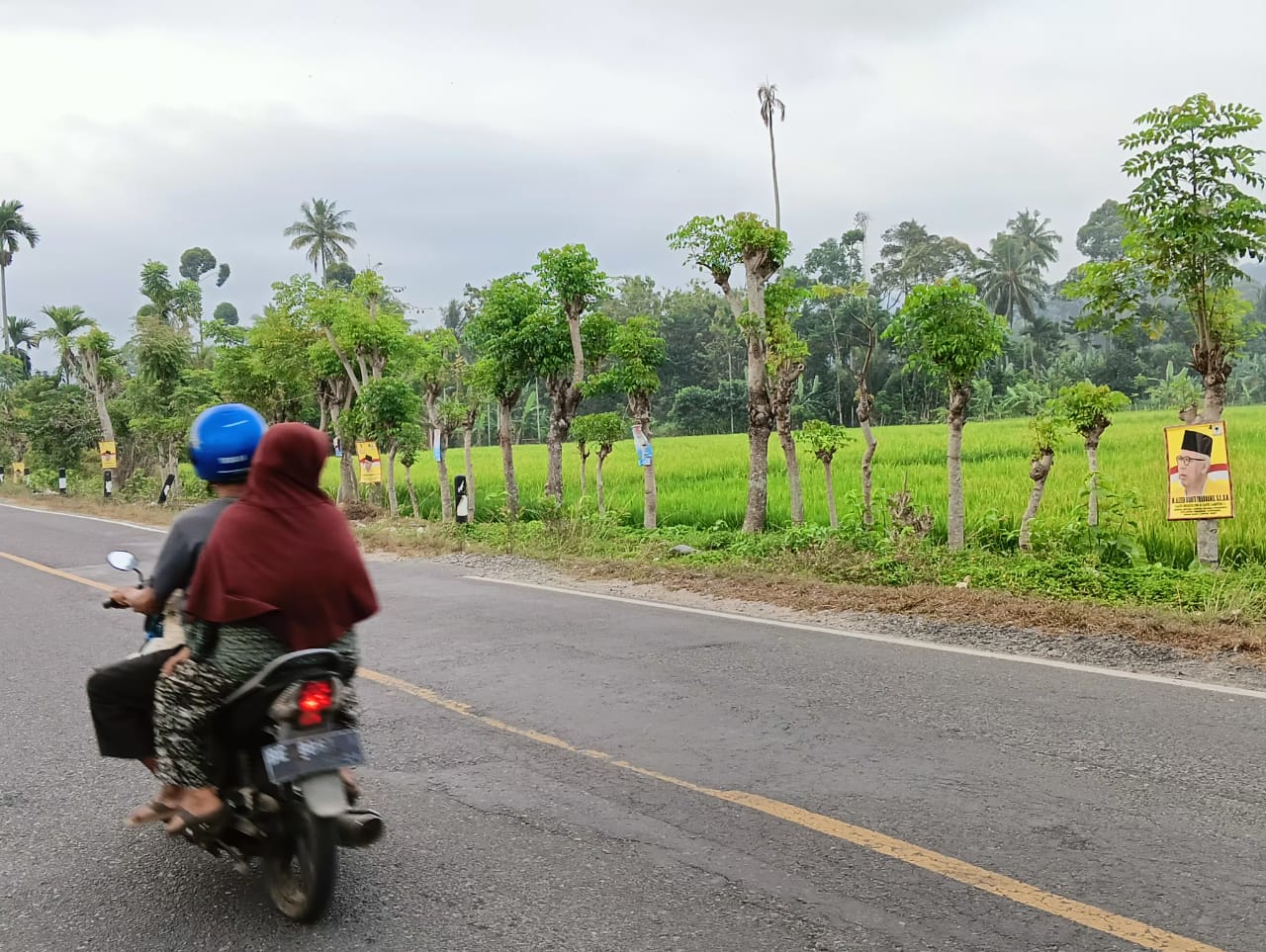 Pemasangan Banner Caleg di Pohon Sepanjang Jalan Lintas Barat Kian Marak