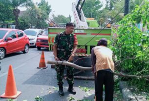 Antisipasi Pohon Tumbang, Babinsa Kelurahan Kerten Bersama Warga Gotong-Royong Pangkas Ranting dan Pohon