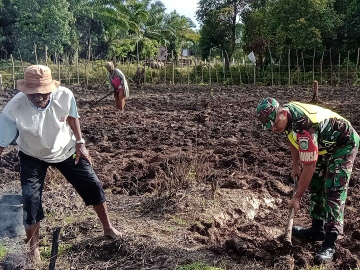 Babinsa Koramil 07/Johan Pahlawan Bantu Petani Mencangkul Yang Akan Bercocok Tanam Palawija