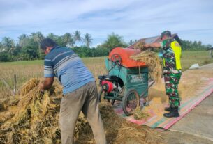 Begini Cara Babinsa Koramil 04/Meureubo Dalam Mewujudkan Pemberdayaan Wilayah Bidang Pertanian