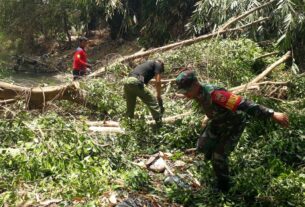 Evakuasi Pohon Tumbang di Tengah Sungai Paska Angin Kencang, Babinsa Laweyan Turun Tangan