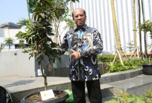 Jaga Kelestarian Lingkungan, PLN Dukung Gerakan Gotong Royong Boyong Pohon Bersama BUMN