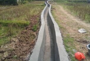 Pembangunan irigasi di pekon labuhan mandi gunung Kemala.