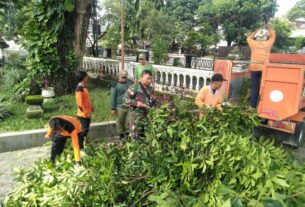 Peran Aktif babinsa Kestalan Pada Pemangkasan Pohon Rawan Tumbang di Wilayah Binaan