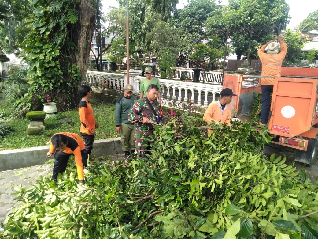 Peran Aktif babinsa Kestalan Pada Pemangkasan Pohon Rawan Tumbang di Wilayah Binaan