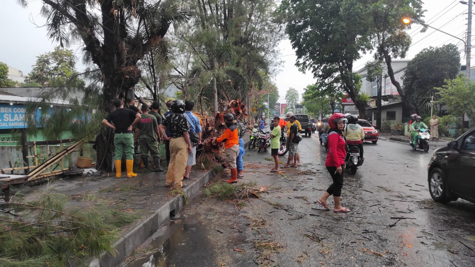Tanggap Darurat, Piket Koramil 03 Serengan Bantu Evakuasi Pohon Tumbang