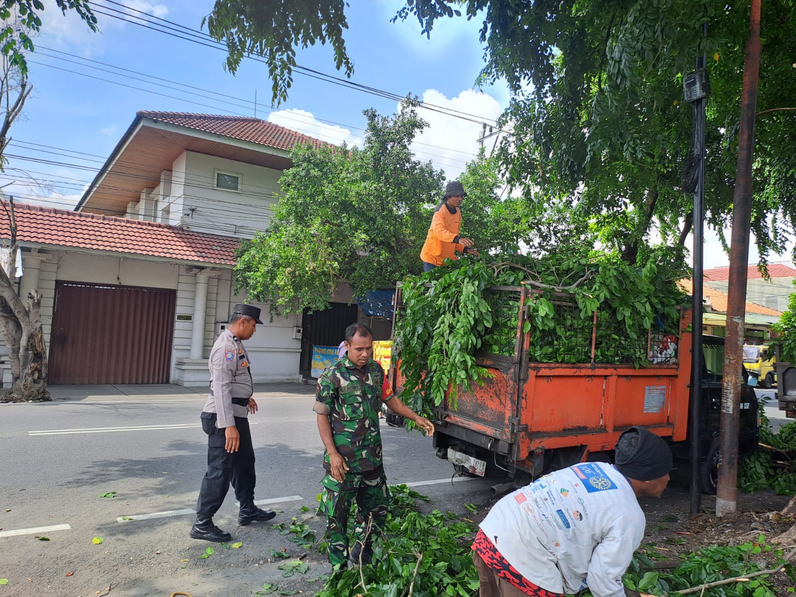 Antisipasi Pohon Tumbang, Babinsa Jagalan Bersama Dinas Kebersihan Kelurahan Laksanakan Penebangan Pohon
