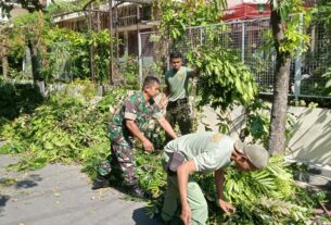 Antisipasi Pohon Tumbang, Babinsa Banyuanyar Laksanakan Pemangkasan Ranting Pohon