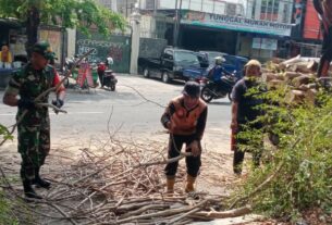 Antisipasi Pohon Tumbang, Babinsa Serengan Bantu Tebang Pohon & Ranting