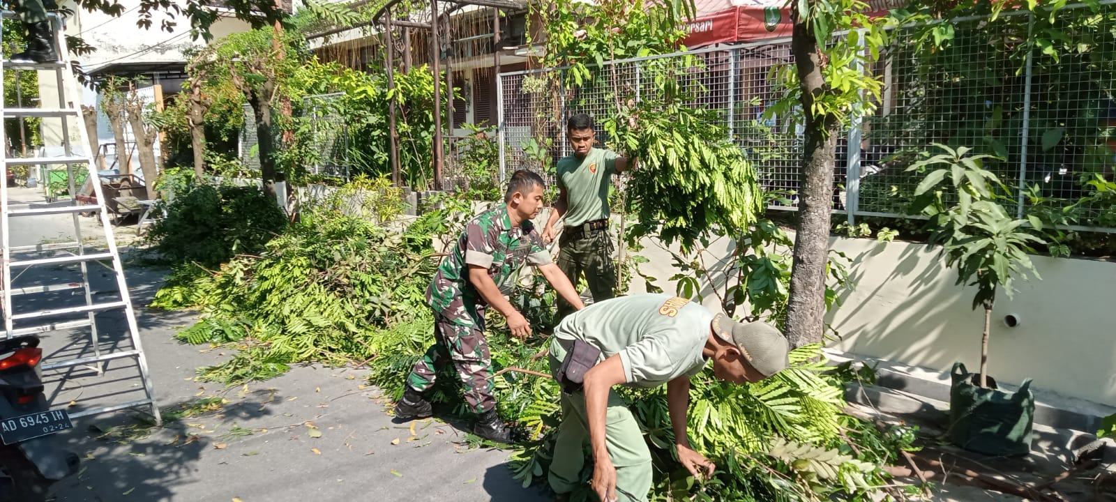 Antisipasi Pohon Tumbang, Babinsa Banyuanyar Laksanakan Pemangkasan Ranting Pohon