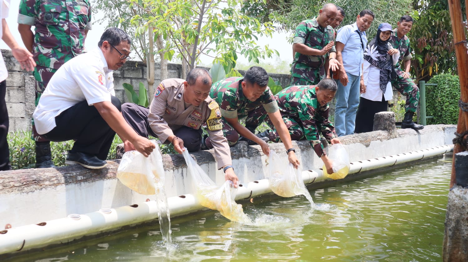 Dukung dan Sukseskan Gerakan Nasional Ketahanan Pangan, Kodim Bojonegoro tabur Ribuan Benih Ikan