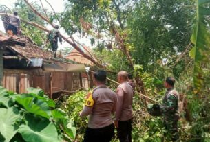 TNI Polri Gerak Cepat Bantu Evakuasi Pohon Tumbang