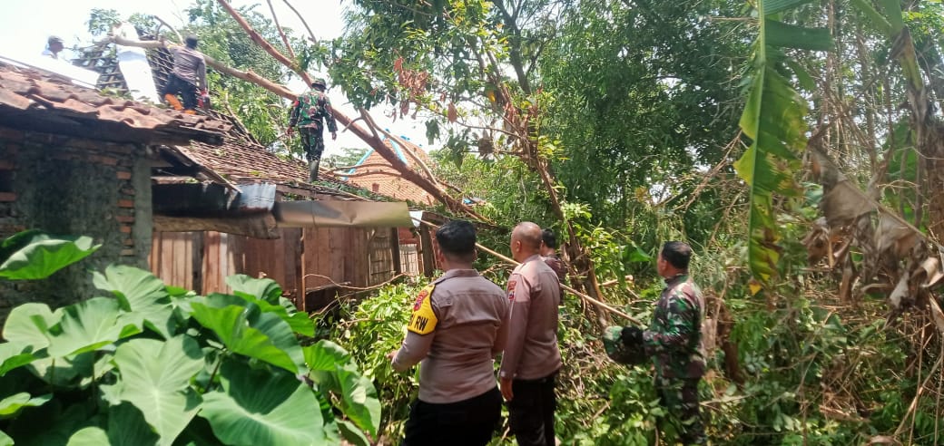 TNI Polri Gerak Cepat Bantu Evakuasi Pohon Tumbang