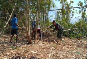 Tumbuhkan Jiwa Gotong Royong, Babinsa Bantu Potong Bambu Warga