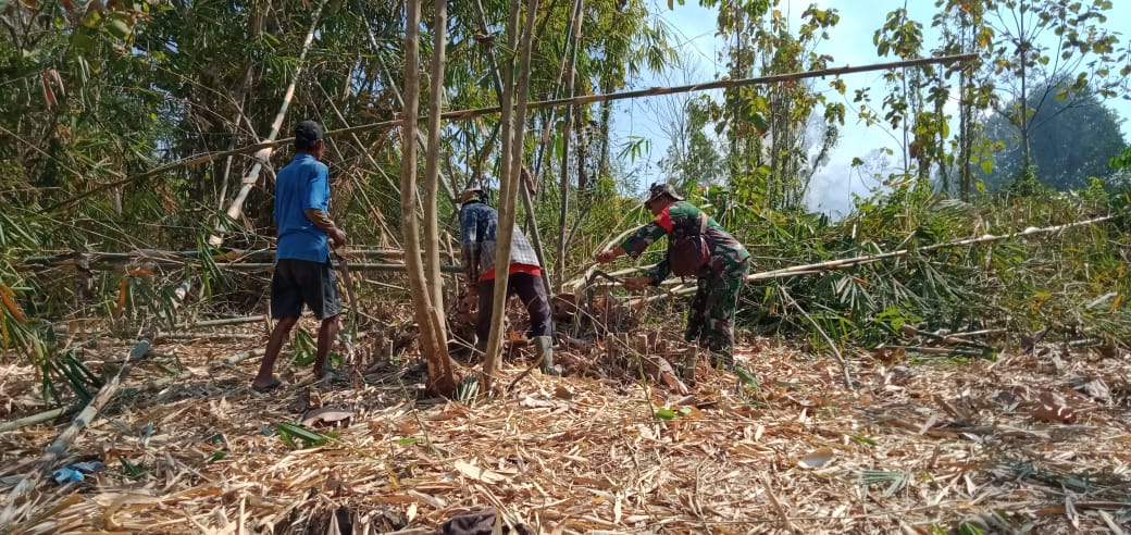 Tumbuhkan Jiwa Gotong Royong, Babinsa Bantu Potong Bambu Warga