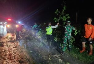 Hujan disertai Angin di selatan Waduk Mulur, Babinsa Gerak cepat Koordinasi dan atasi pohon tumbang