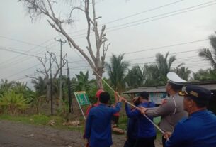 Jelang Nataru, Tim Patroli Polres Lampung Selatan Melakukan Sterilisasi Pohon