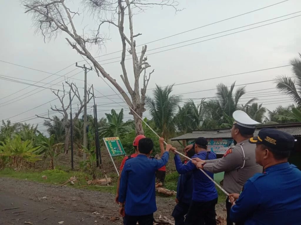 Jelang Nataru, Tim Patroli Polres Lampung Selatan Melakukan Sterilisasi Pohon