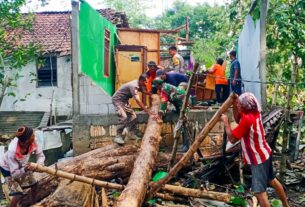 Timpa Rumah Warga, Babinsa Koramil Dander Bojonegoro bantu Evakuasi Pohon Tumbang
