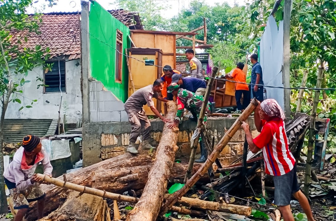Timpa Rumah Warga, Babinsa Koramil Dander Bojonegoro bantu Evakuasi Pohon Tumbang