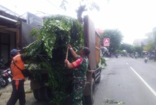 Antisipasi Pohon Tumbang, Babinsa Purwodiningratan Bersama DLH Rapikan Cabang Pohon di Bahu Jalan