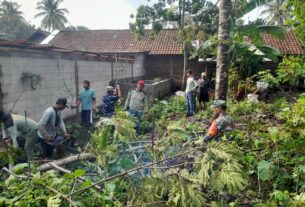 Babinsa Koramil Ampel Bersama Warga Evakuasi Pohon Tumbang dan Perbaiki Rumah warga