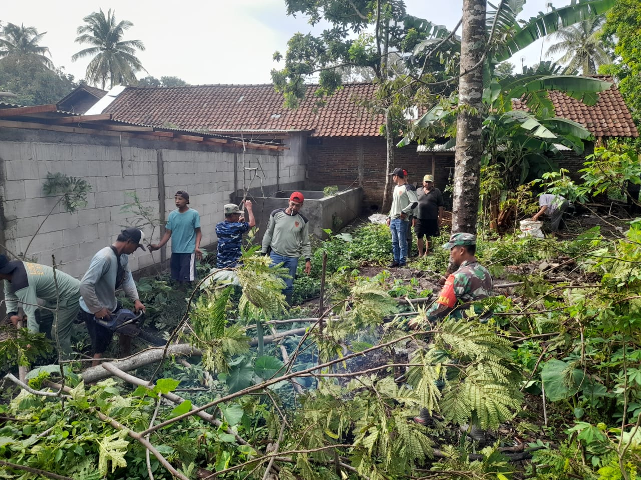 Babinsa Koramil Ampel Bersama Warga Evakuasi Pohon Tumbang dan Perbaiki Rumah warga