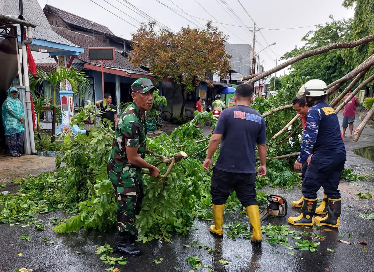 Sigap..!! Babinsa Nusukan Bersama Damkar Evakuasi Pohon Tumbang Akibat Hujan Deras Disertai Angin Kencang