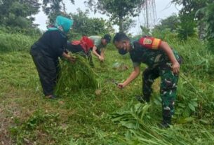 Bersinergi, Babinsa Jajaran Kodim 0410/KBL Laksanakan Gotong-royong Pembersihan Lingkungan di Wilayah Binaan