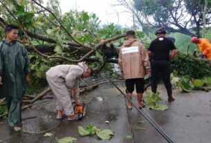 Gerak Cepat, Babinsa Bantu Evakuasi Pohon Tumbang di Ruas Jalan Sumberlawang - Gabugan