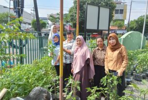 Panen Raya Sayuran, Wujud Nyata Koramil 04/Jebres Tingkatkan Ketahanan Pangan Wilayah