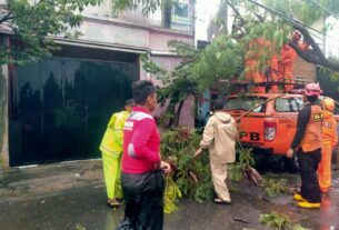 Gercep..!! Babinsa Kelurahan Nusukan Bantu Evakuasi Pohon Tumbang di Wilayah Binaan