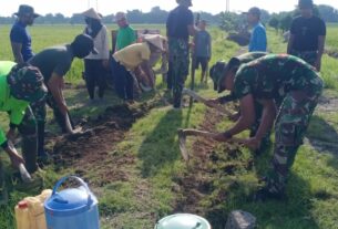 Letakkan Senjata, Angkat cangkul saat TMMD