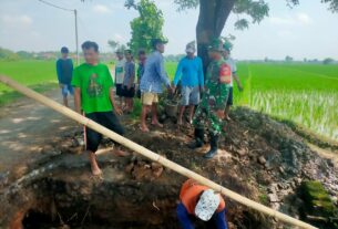 Wujud Kemanunggalan, Babinsa Bantu Warga Perbaiki Gorong-Gorong