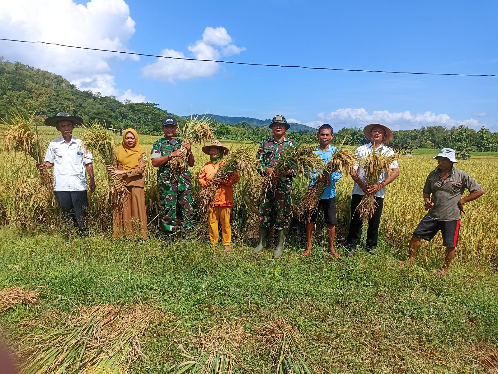 Babinsa Di Giriwoyo Dampingi Petugas Laksanakan Pengubinan Sawah Milik Suratno