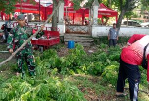 Gandeng DLH, Babinsa Kelurahan Nusukan Laksanakan Kerja Bhakti Perempelan Ranting Dan Dahan Pohon